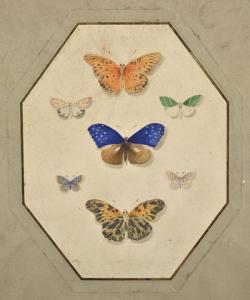 GERBE Marius,Papillons,1877,Hiret-Nuges, Hotel des ventes de Laval FR 2018-02-17