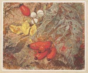 gerhardt ingrid 1925-2002,A study of leaves, berries and fruit,Woolley & Wallis GB 2010-09-08