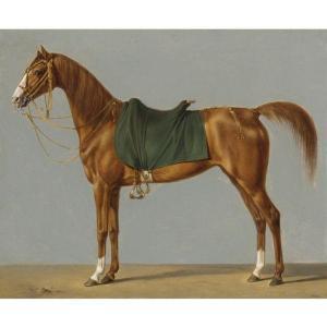 GERMAN SCHOOL,A STUDY OF A HORSE,1822,Sotheby's GB 2011-01-27