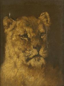 GERMAN SCHOOL (XIX),Study head of a lioness,19th century,Dreweatt-Neate GB 2008-11-27