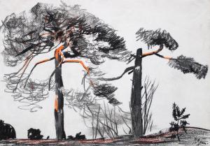 GERMANIS Andrejs 1941,Pine trees by the sea,Antonija LV 2024-02-04