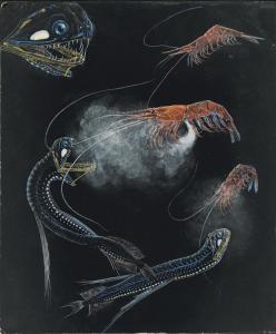 GESKE E.J,Shrimp and Fish of the Abyss,Christie's GB 2012-12-06