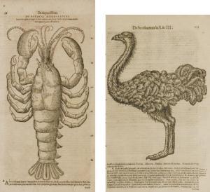 GESNER Conrad 1516-1565,Historiae animalium,Christie's GB 2007-11-14