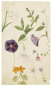 GESSNER Johann Konrad Fasi 1796-1870,Flowers, figure studies,Bonhams GB 2015-11-24
