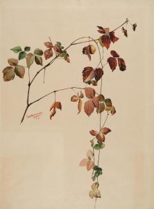 GIACOMETTI Augusto 1877-1947,Autumn branch,1894,Galerie Koller CH 2023-12-01