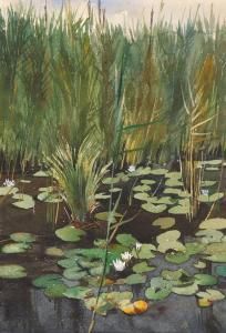 GIACOMETTI Augusto 1877-1947,Waterlilies,Galerie Koller CH 2023-12-01