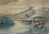 GIBB William Menzies 1859-1931,Cattle Grazing, Canterbury,1896,International Art Centre 2009-11-26
