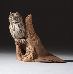 GIBBS Harold,MINIATURE SCREECH OWL,Eldred's US 2015-04-03