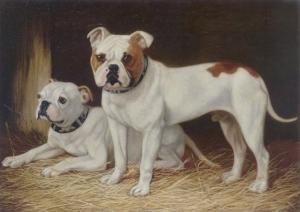 GIBSON John 1900-1900,Two bulldogs on straw,Sotheby's GB 2006-03-21