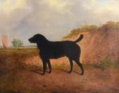 GILBERT W.J 1830-1870,A black curly coated retriever in a landscape,1858,Mallams GB 2016-07-14