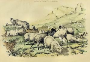 GILES John West 1900-1900,Sheep on a Hillside,Canterbury Auction GB 2018-10-02