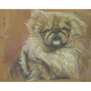 GILL Esme,Pekingese Puppies,William Doyle US 2016-02-10