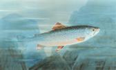 GILLETTE William B 1864-1937,Brook Trout,1905,Gray's Auctioneers US 2012-01-26