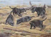 GILLIES Bill 1911-2000,Black Labrador puppies playing,1985,Bonhams GB 2013-02-13