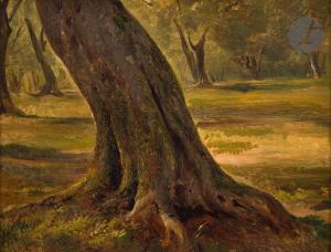 GIROUX André 1801-1879,Tivoli, Étude d\’arbre,Ader FR 2023-03-21