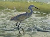 GLIMMERVEEN Ulco 1958,Snowy Egret,1958,5th Avenue Auctioneers ZA 2015-06-21