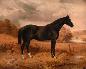 GODDARD George Bouverie 1832-1886,Black Horse in a Landscape,1855,Tennant's GB 2022-11-12