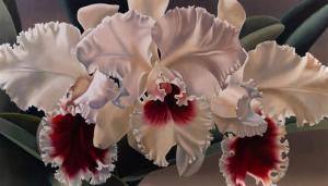 GODFREY Winifred 1944,White Orchids with Crimson,Hindman US 2018-10-23