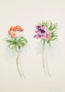 GODLEWSKA DE ARANDA IZABELLA 1937,Still life studies of flowers,Duke & Son GB 2016-04-14