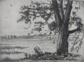 GOETSCH Gustave F 1877-1969,Big Tree,Hindman US 2015-05-06