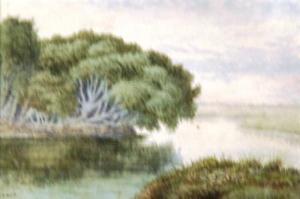 GOLD W.K 1800-1800,Patawalonga Creek,1881,Theodore Bruce AU 2014-03-12