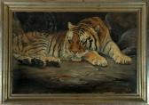 GOLDBERG Fred F 1900-1900,Liegender Tiger,1920,Allgauer DE 2017-11-09