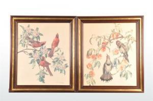 GOLDING Cecil 1900-1900,Dos impresiones de aves,Morton Subastas MX 2012-02-04