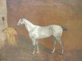 GOLDSMITH CALLENDER,Grey hunter in a stable,1878,Moore Allen & Innocent GB 2011-10-28
