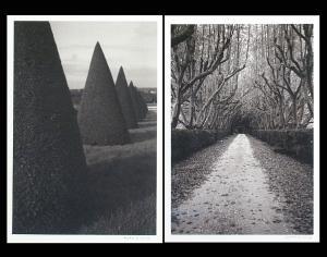 GOLOMB Curtis 1963,A Tree Lined Path; Topiaries at Dusk,Bonhams GB 2005-10-16