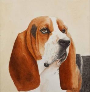 GOMES Micha,BASSET HOUND,Ross's Auctioneers and values IE 2013-12-04