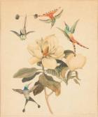 GONZALES MORENOS Antonio,Suite de quatre études de fleurs et oiseaux exotiques,Aguttes FR 2011-10-24