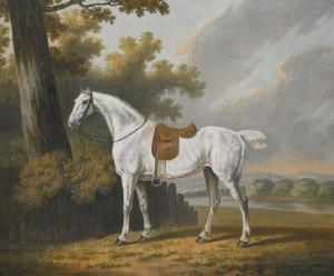 GOOCH Thomas 1750-1802,A SADDLED GREY HUNTER,1788,Sotheby's GB 2016-04-28