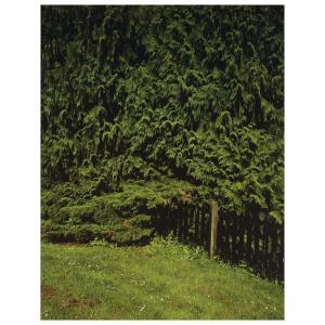 GOOSSENS Marnix 1967,regarding nature #2 the green wall,2000,Sotheby's GB 2006-03-21
