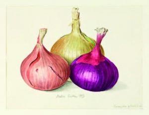GORDON Alastair Ninian J 1920-2002,Onions grown by Roald Dahl,1989,Art + Object NZ 2011-07-13