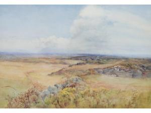 GORE E.M 1900-1900,Extensive moorland landscape with sheep grazing,1904,Capes Dunn GB 2010-11-16