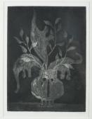 GOREY Edward 1929-2000,Still Life with Skull, Vase, and Elephants,1985,Quinn & Farmer US 2016-11-11