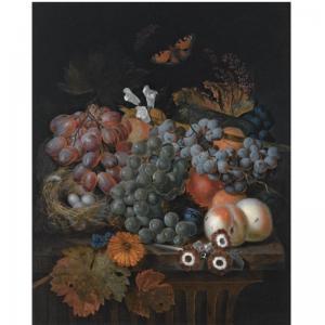 GOVAERTS Johann Baptist,A STILL LIFE WITH BLUE AND WHITE GRAPES ON A VINE,,Sotheby's 2007-11-13