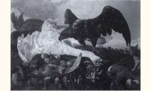 GOVERTSZ Dirck 1580-1645,NATURE morte au cygne et a l'aigle,Piasa FR 2001-12-05
