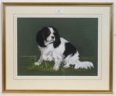 gowry roger,Seated King Charles Spaniel,Dickins GB 2010-02-05