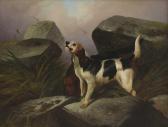 Graeme Roe Colin 1857-1910,Otter hound,1887,Sworders GB 2020-10-06