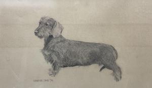 GRAEME Sims,Wire Haired Dachshund or Sausage Dog,1974,Duggleby Stephenson (of York) UK 2024-01-05