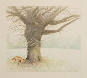 GRAHAM Carol 1951,Fox By a Tree,1985,Morgan O'Driscoll IE 2023-09-18