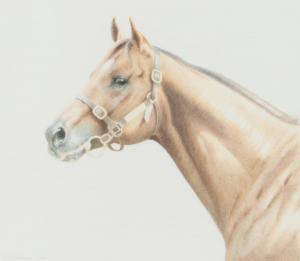 GRAHAM Carol 1951,HORSE STUDY I,1986,Ross's Auctioneers and values IE 2023-07-19