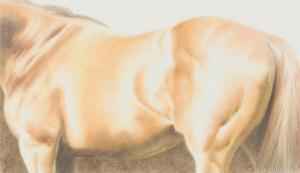 GRAHAM Carol 1951,HORSE STUDY III,1986,Ross's Auctioneers and values IE 2023-07-19
