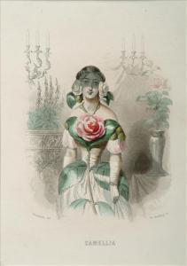 GRANDVILLE Isidore,Camellia Tubereuse. Jonquille Fleur de grenadier,Dreweatt-Neate 2009-02-24