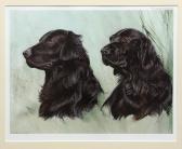 GRANGER Vic,Two black Labrador head studies,Keys GB 2017-04-28