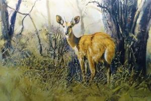 GRANT Donald 1924-2001,Bush Buck,1975,Shapes Auctioneers & Valuers GB 2017-12-02