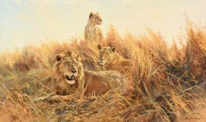 GRANT Donald 1924-2001,Lion and lioness in grass,Tennant's GB 2023-03-18