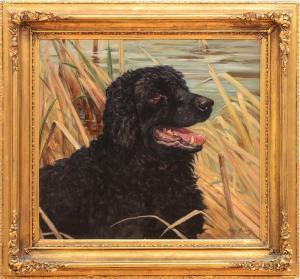 GRAVELY Percy 1800-1900,PORTRAIT OF A WATER DOG,Stair Galleries US 2015-10-24