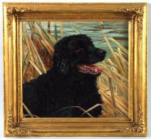 GRAVELY Percy 1800-1900,WATER SPANIEL IN THE RUSHES,Stair Galleries US 2002-04-06